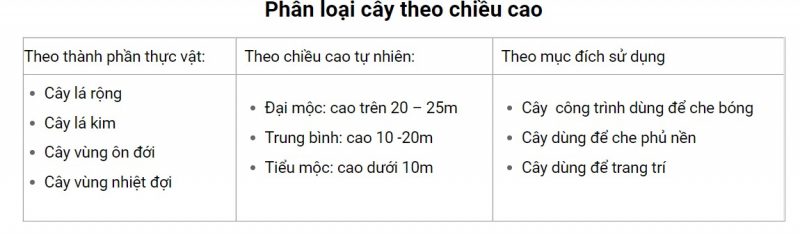 cac loai cay cong trinh