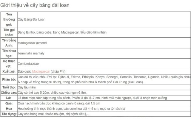 dac diem cay bang dai loan