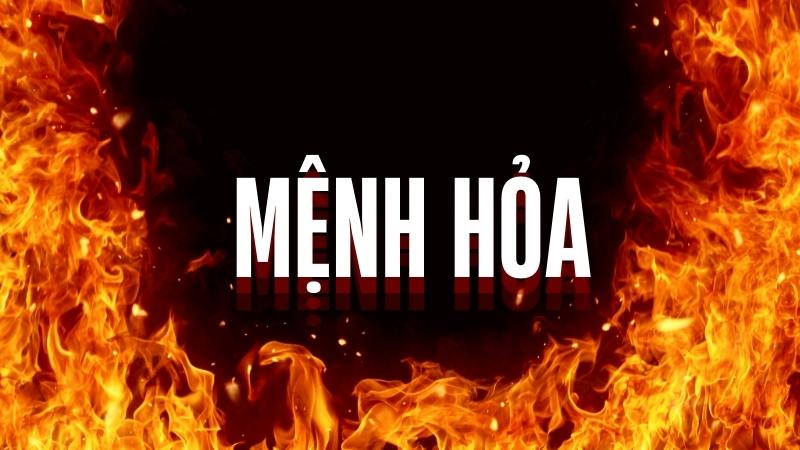 menh-hoa-hop-cay-gi-1 menh-hoa-hop-cay-gi-1