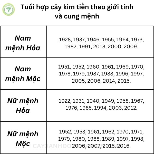 Tuổi hợp cây kim tiền