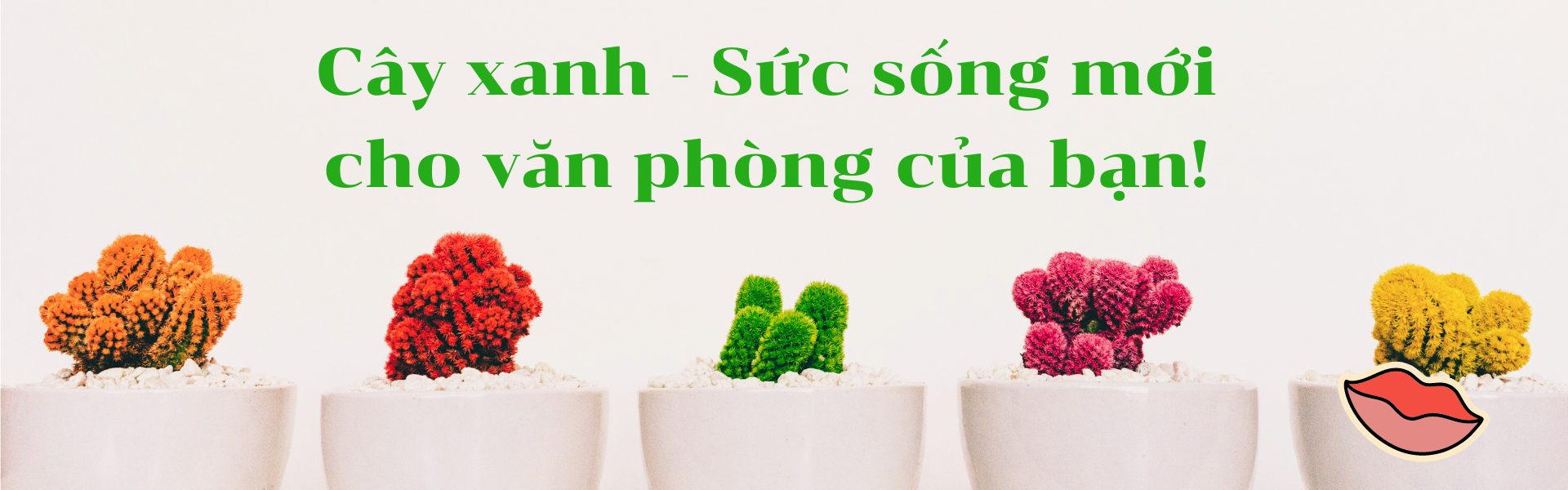 baner cay xanh 1