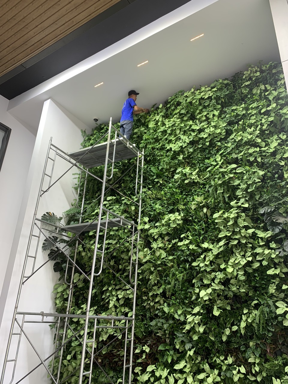 dich vu trong cay xanh do thi tai tp hcm uy tin giai phap xanh ben vung cho thanh pho phat trien 69cb684614792