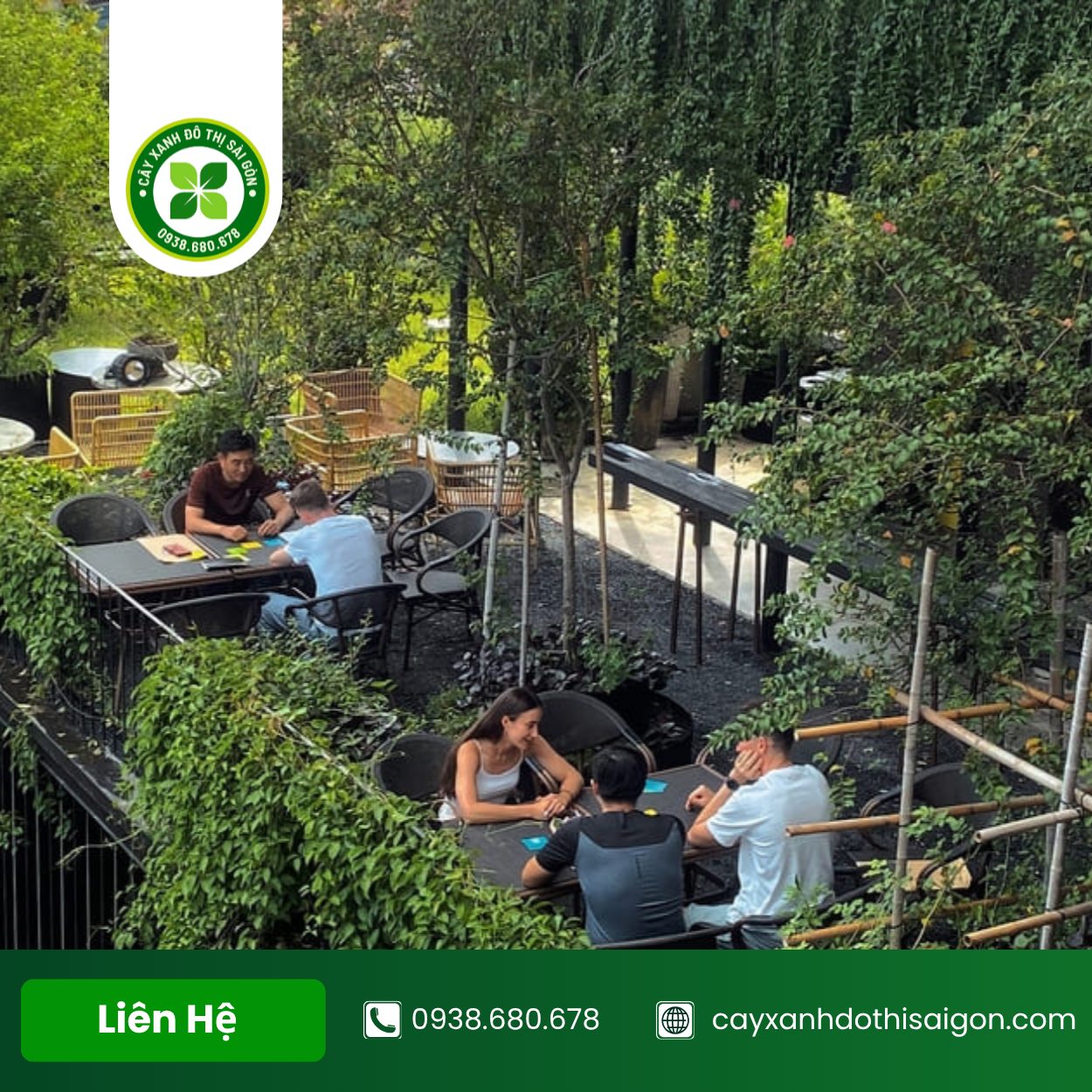Bo Tri Cay Xanh Cho Quan Cafe 2