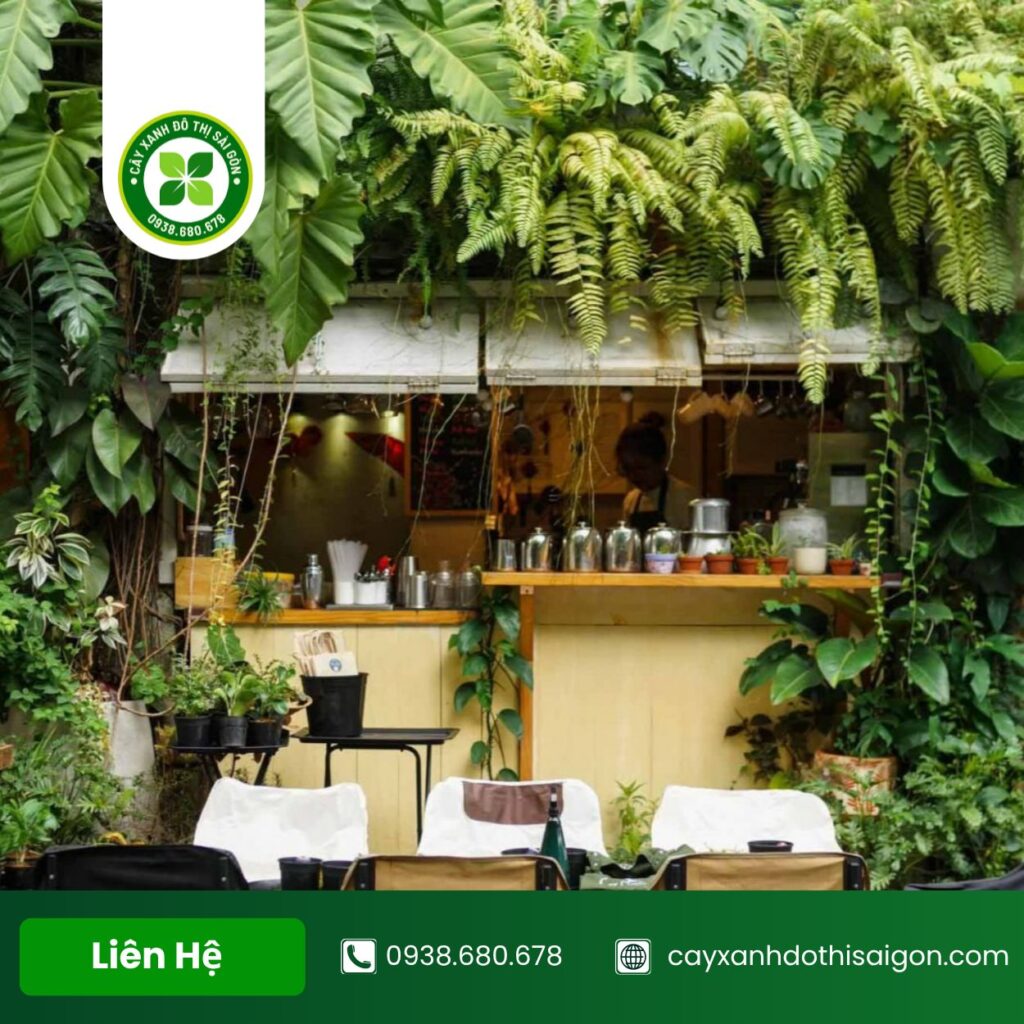 Bo Tri Cay Xanh Cho Quan Cafe 3