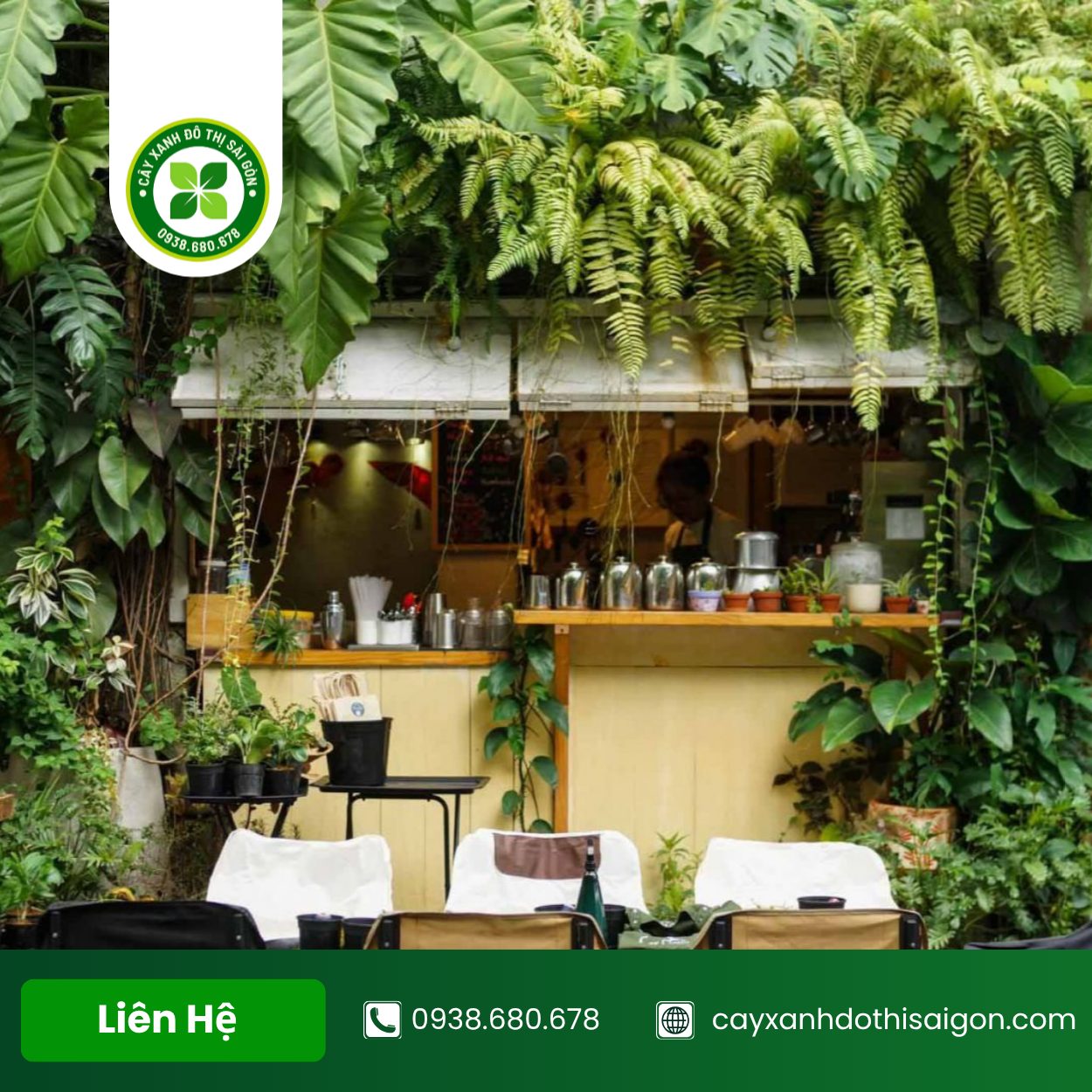 Bo Tri Cay Xanh Cho Quan Cafe 3