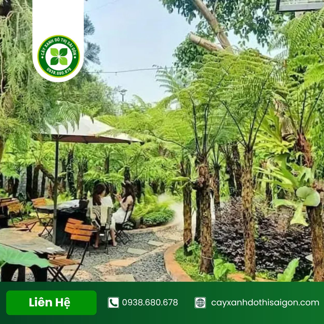 Bo Tri Cay Xanh Cho Quan Cafe 4