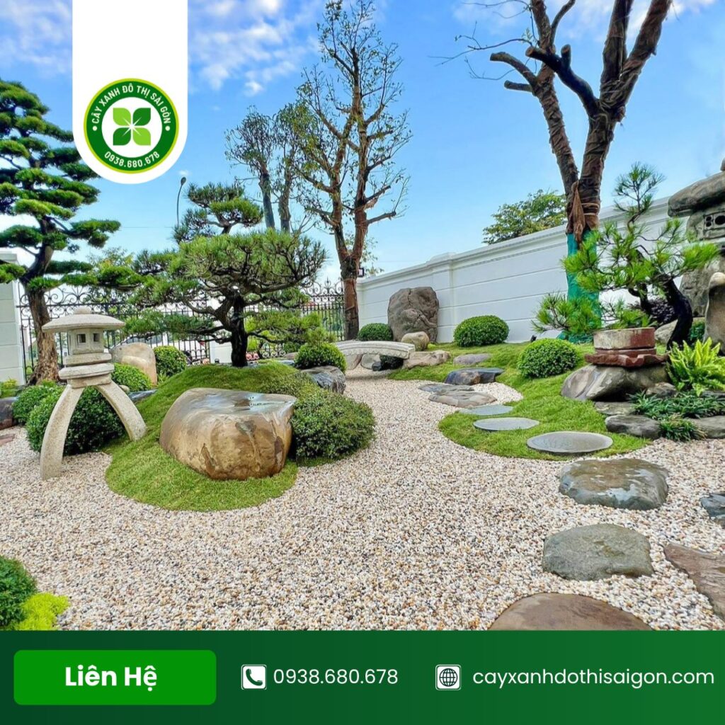 Thiết Kế Sân Vườn Đẹp Tiết Kiệm Chi Phí