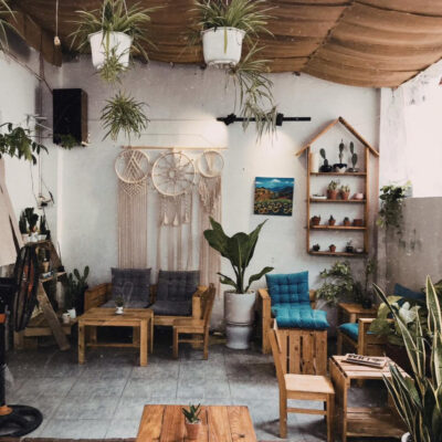 cach bo tri cay xanh cho quan cafe thu hut khach bien khong gian tro thanh noi nghi duong ly tuong 69d36c138c6b7