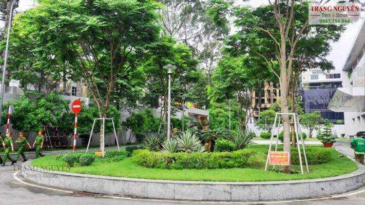 dich vu trong cay xanh cho nha may cai tao moi truong lam viec va phat trien ben vung 69d366a035b0b