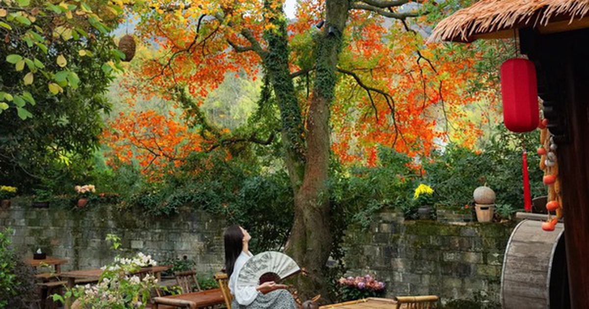 nhung sai lam khi trong cay cong trinh can tranh de dam bao su phat trien ben vung 69d36b85b12d8