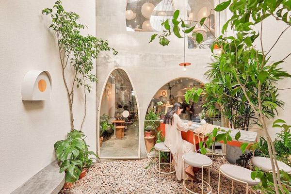 trang tri cay xanh loi vao cho quan cafe